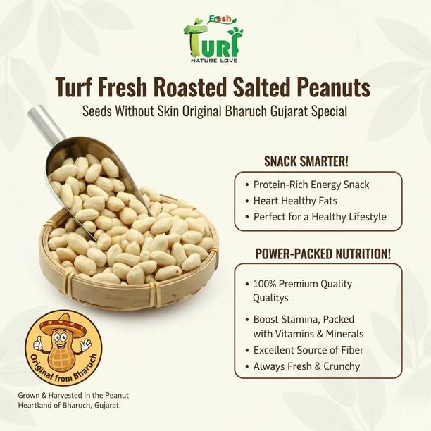 Turf Fresh Premium Roasted Salted Peanuts | Bharuch Gujarat Jumbo Size | Bharuch Peanuts