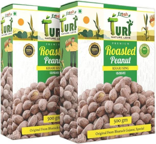 Turf Fresh Roasted Salted Badam Peanuts | Khari Sing (Bharuch Gujarat Special