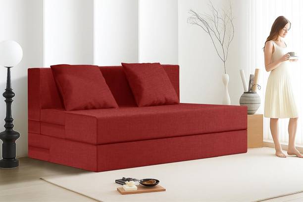 Expecting Smile For 2 Person 2 Seater Double Foam Fold Out Sofa Cum Bed