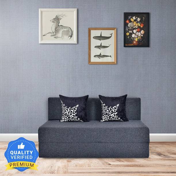 Friends Fit Life Fashion Life-4X6 Comfort 2 Seater Double Fold Out Sofa Cum Bed