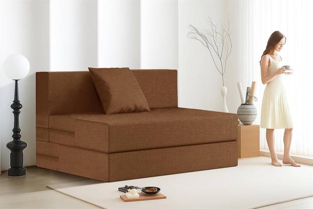 Expecting Smile For 1 Person 1 Seater Single Foam Fold Out Sofa Cum Bed