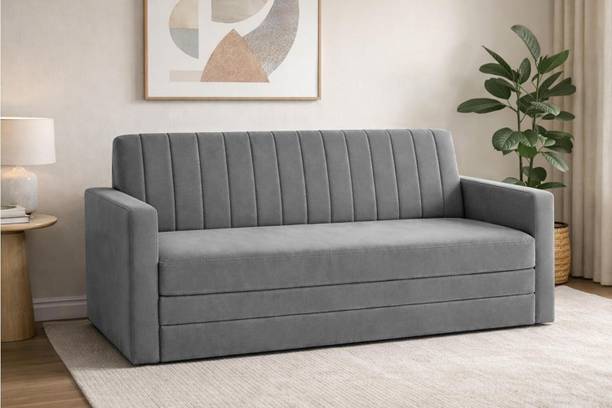 Dr Smith Sofa Cum Bed with Armrest, Velvet Fabric Couch for Living Room 3 Seater Single Foam Fold Out Sofa Cum Bed