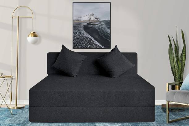 Expecting Smile For 2 Person 2 Seater Double Foam Fold Out Sofa Cum Bed