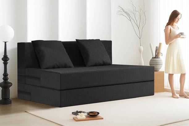 Expecting Smile For 2 Person 2 Seater Double Foam Fold Out Sofa Cum Bed