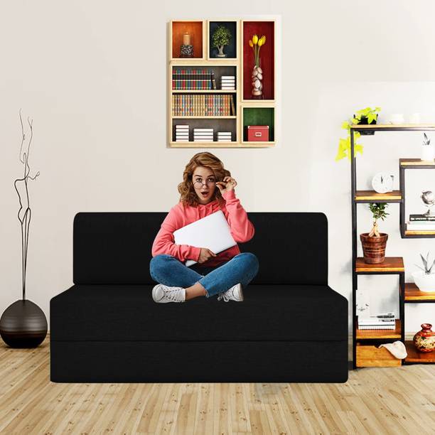 Screw & Art 2 Seater Single Foam Pull Out Sofa Cum Bed
