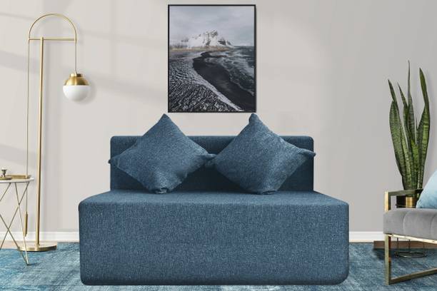 Expecting Smile For 2 Person 2 Seater Double Foam Fold Out Sofa Cum Bed