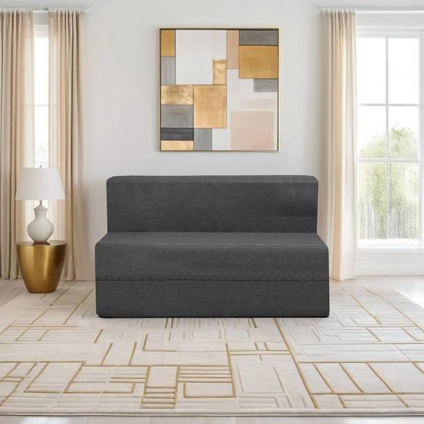 Expecting Smile For 2 Person 2 Seater Double Foam Fold Out Sofa Cum Bed