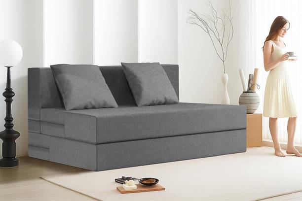 Expecting Smile For 2 Person 2 Seater Double Foam Fold Out Sofa Cum Bed
