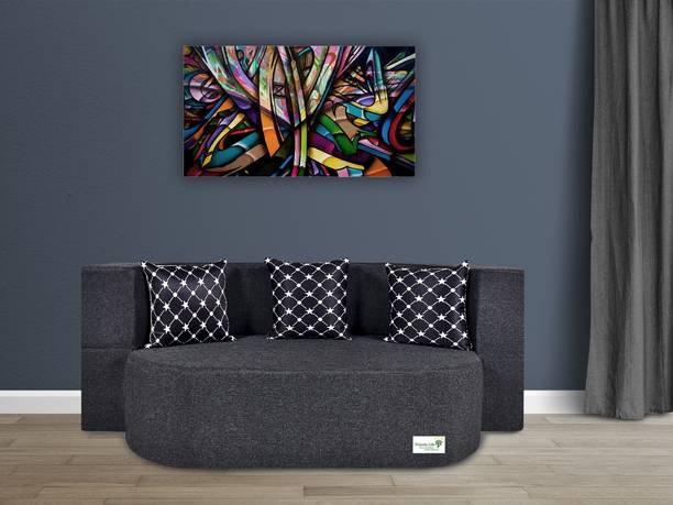 Friends super Life Fashion Life-47 X 72X 14 Comfort for All with 2 Seater Double Foam Fold Out Sofa Cum Bed