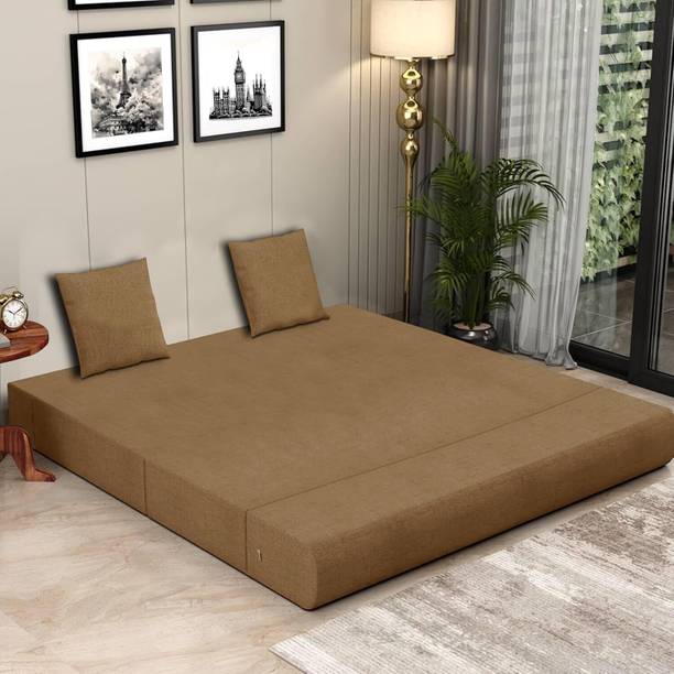 Expecting Smile For 1 Person 1 Seater Single Foam Fold Out Sofa Cum Bed