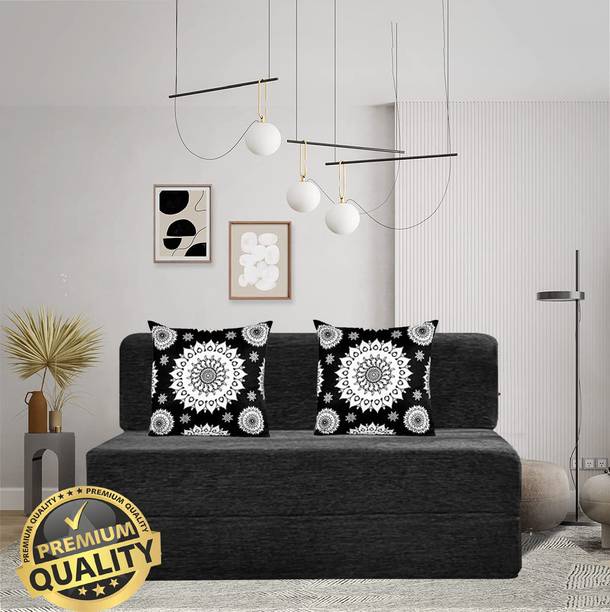 Expecting Smile For 2 Person 2 Seater Double Foam Fold Out Sofa Cum Bed