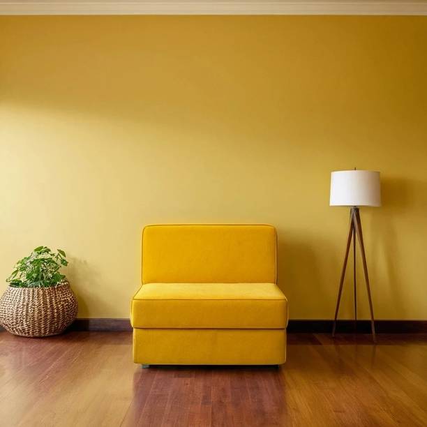 PUMPUM Couch Sofa Cum Bed 1 Seater Single Foam Fold Out Sofa Cum Bed