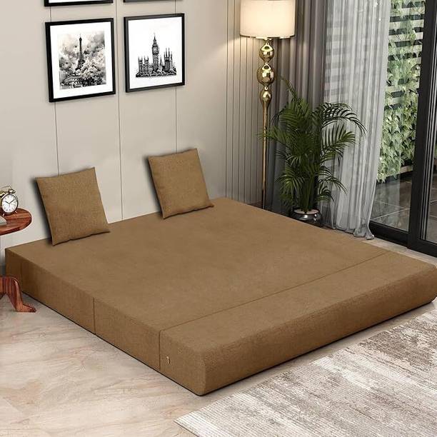 Expecting Smile For 2 Person 2 Seater Double Foam Fold Out Sofa Cum Bed