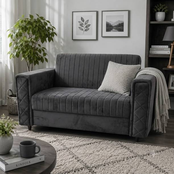 SNUZSPACE Vento Premium Velvet fabric with Modern Space-Saving Design Fabric 2 Seater Sofa