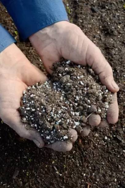 Plantsab potting mixes made by vermicompost, cocopeat, Perlite, Vermiculite, bone meal Manure, Potting Mixture, Soil