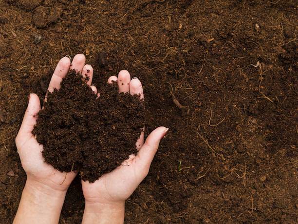 Greenland Vermicompost Greenland 1Kg Vermicompost Potting Mixture, Soil