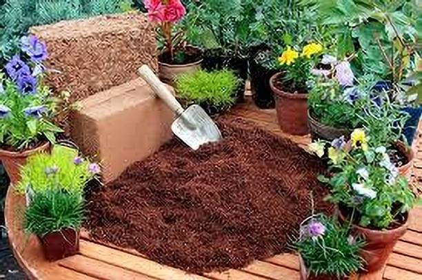 SSR ENTERPRISE cocopeat Potting Mixture