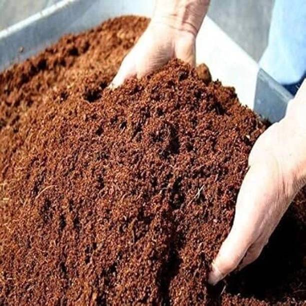 DHARTI CORPORATION cocopeat powder 10 kkg Potting Mixture