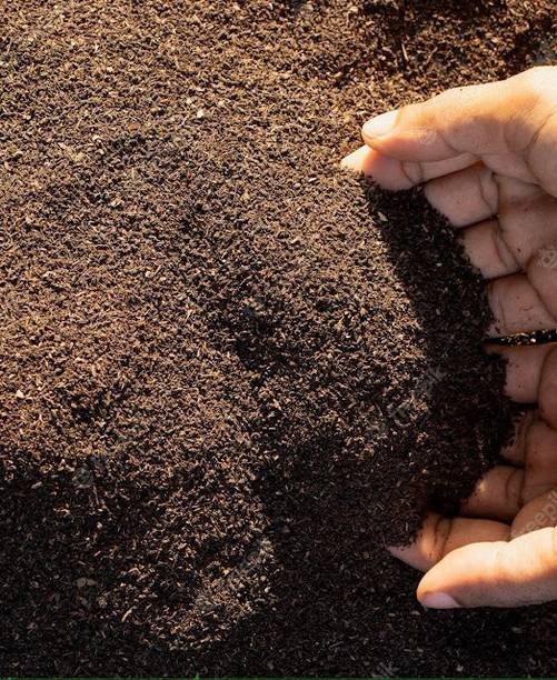 Khadking vermicompost for plants , black gold, complete food for the soil munure Fertilizer, Soil, Potting Mixture, Manure