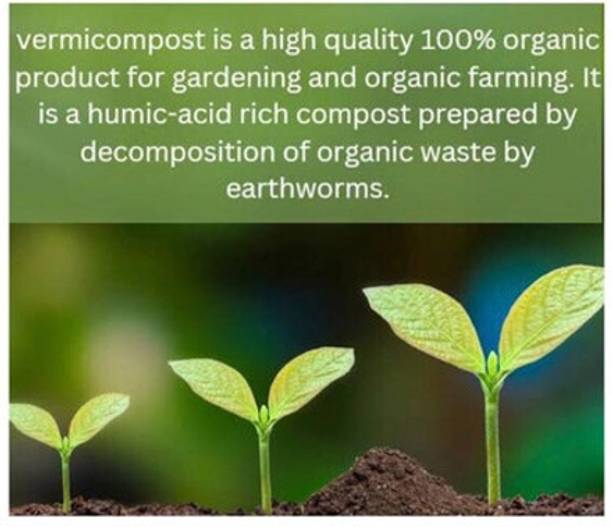 SEEDSART Organic-Soil Potting Mixture " Vermicompost " For Plants , 1 kg pack , xs259 Manure