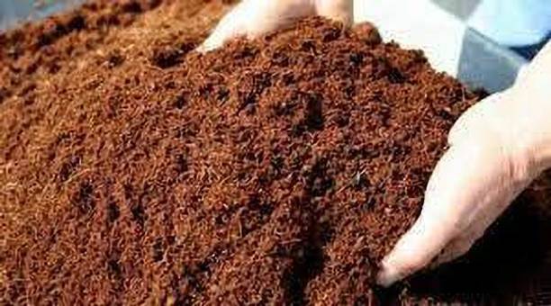 LiberalStudios Cocopeat Powder Fertilizer