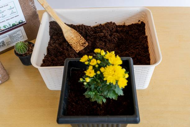 grownature COCOPEAT POWDER WET 1KG Soil
