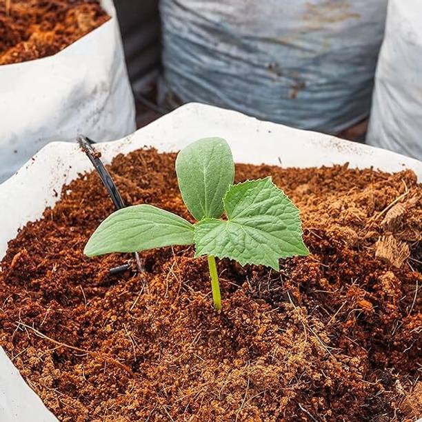 JANAKIVALAV Hydroponics Grow Cocopeat Grow Slabs Cocopeat Loose for Indoor/Outdoor Plant-5kg Fertilizer, Potting Mixture, Soil