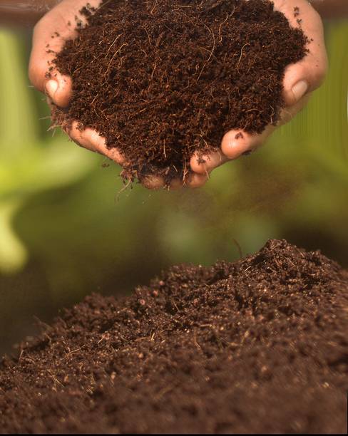 Aradhya 00-5kg-cocopeat-potting-manure Manure