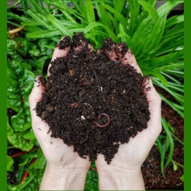 GangaVermi Vermicompost 5Kg Fertilizer