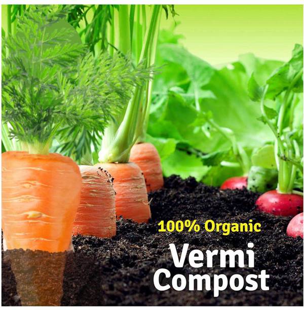 Candid vermicompost Manure