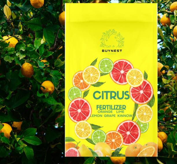 BUY NEST LEMON PLANT FERTLIZER CITRUS FERTILIZER TO BOOST FRUIT GROWTH Fertilizer