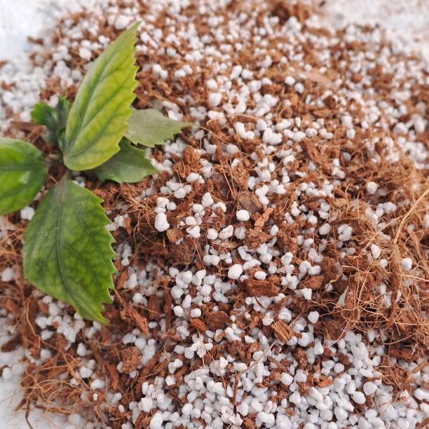 Plantsab Organic Premium Potting Mixture (Cocopeat and Perlite) 900gm Husk, Potting Mixture, Soil, Manure