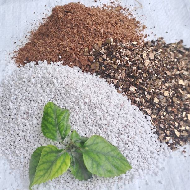 APS Sports Natural Organic Potting Mixture Elements (Cocopeat,Perlite.Vermiculite) 2.7kg Potting Mixture, Soil, Manure