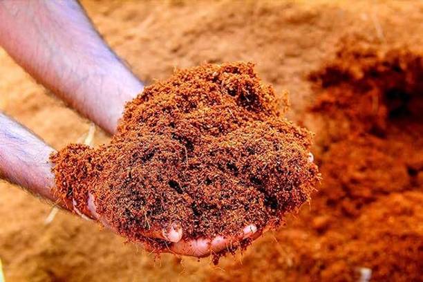 JANKIVALAV Cocopeat Powder 500 grams for All Seeds,Plants,Vegetable Garden,Grow Seedlings Soil