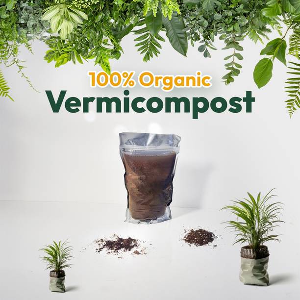 Maan Vermicompost1 Fertilizer, Manure, Soil, Potting Mixture