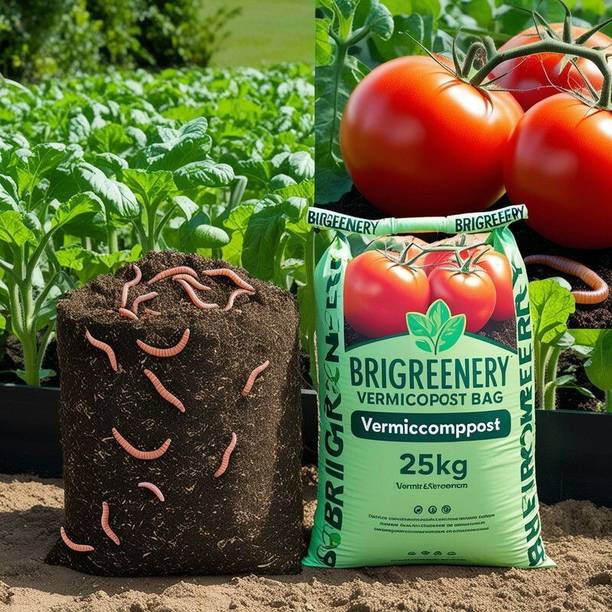 BriGreenery Natural Organic Vermicompost for Flower Pots 25 Kg Manure