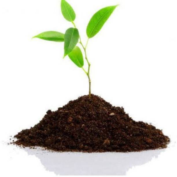 ENBITZ Organic Vermicompost Manure for Plants Soil