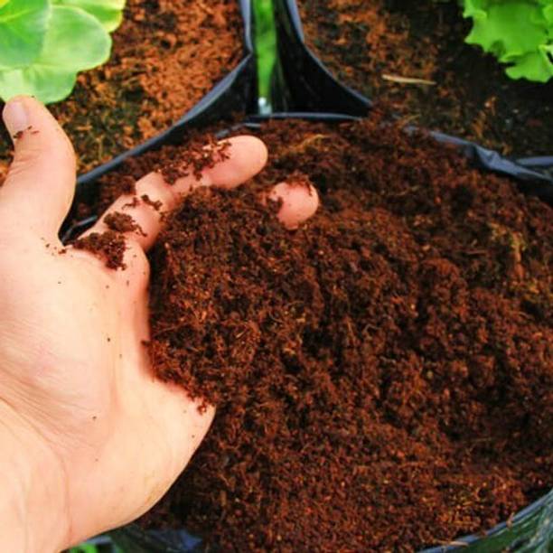 Tim Tim Agro Garden Soil - Cocopeat Dry 1 KG Soil