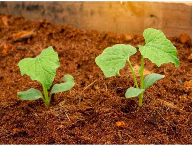 SIDDHI Cocopeat Powder 5 Kg - 100% Natural and Organic Coco peat / Coirpith Powder Soil