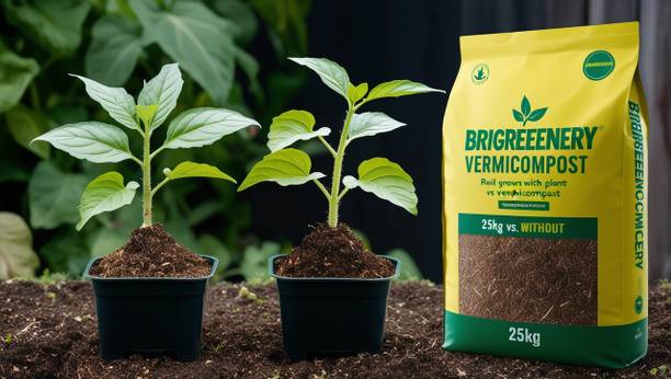 BriGreenery Vermicompost for Faster Plant Growth 25 Kg Manure