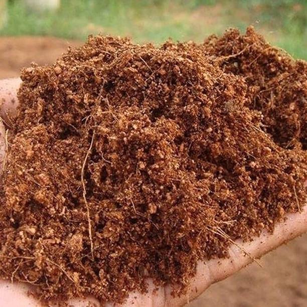 Flipkart SmartBuy powder Cocopeat Potting Mixture