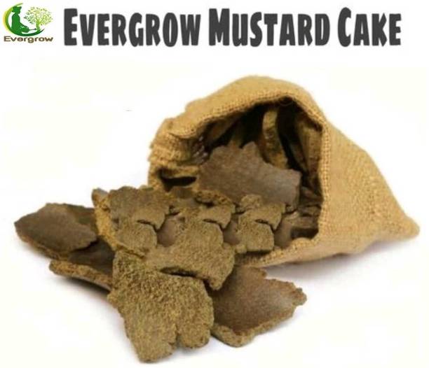 EVERGROW Natural Organic Mustard Cake for Plants Fertilizer for Home Garden, 2 kg Fertilizer