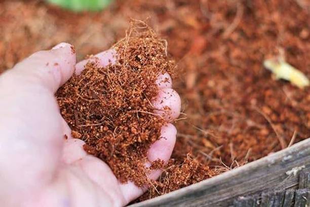 JANAKIVALAV The Plant Sterilized Cocopeat for Growing Cuttings/Saplings/Seedlings (250G) Soil