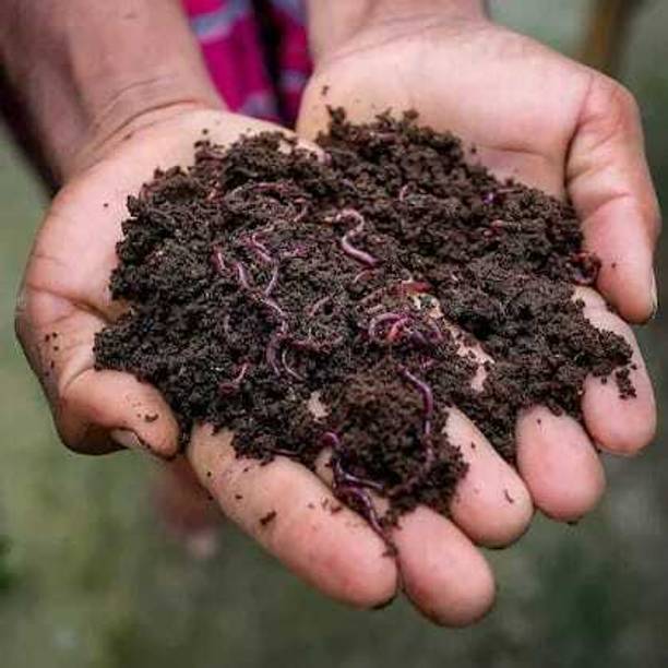 Karuna Enterprises Cow Dung Manure Fertilizer for Plants & Home Gardening – Organic Soil Enrichment Potting Mixture, Manure, Soil, Fertilizer