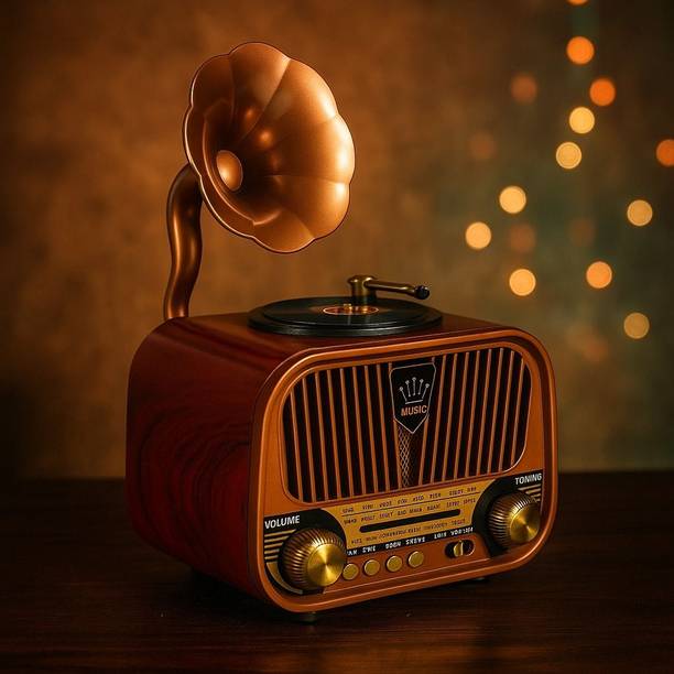 fire turtle Vintage FM Radio , Bluetooth Speaker Type-C Charging, USB & SD Card , For Gift 10 W Bluetooth Home Audio Speaker