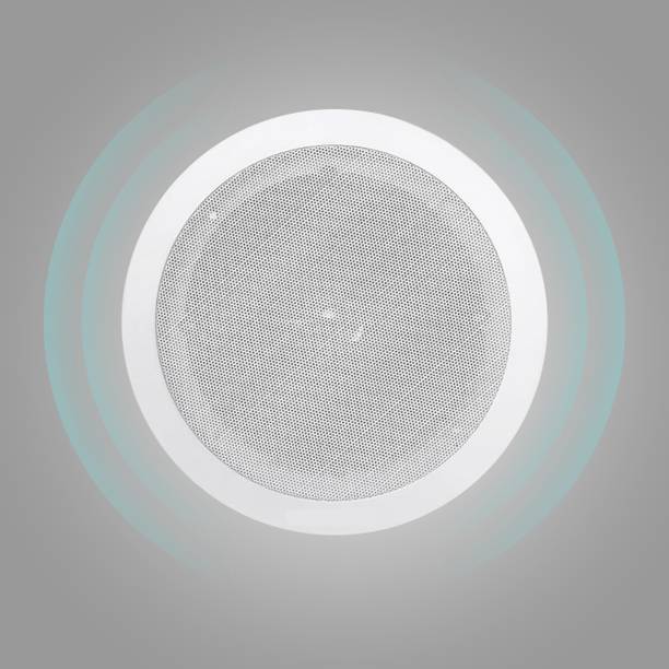 Powerlink 9-Inch 20-Watt Wired Ceiling Speaker (Pack of 1, Metal Grill) (with LMT) 10 W Home Audio Speaker