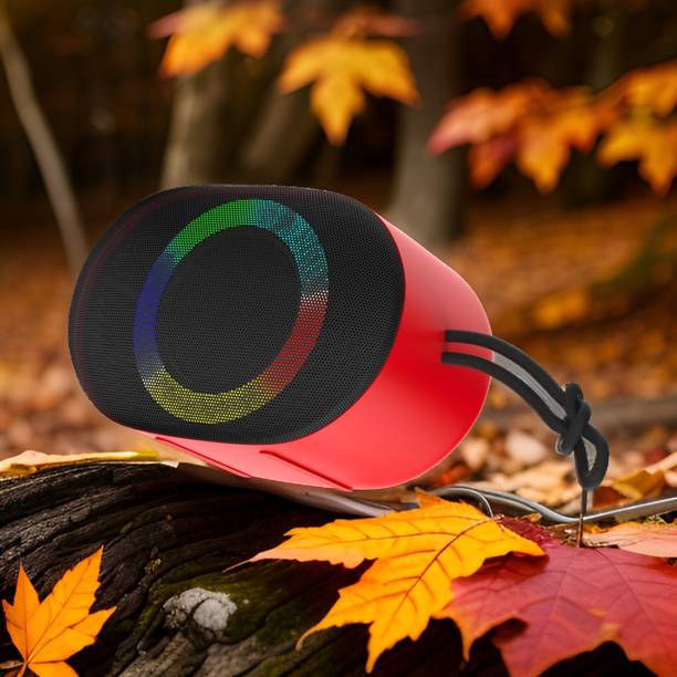 ROAR WS-25 BOSS Portable Speaker with Upto 6 Hours Battery Bluetooth Speaker 16 W Bluetooth Home Theatre