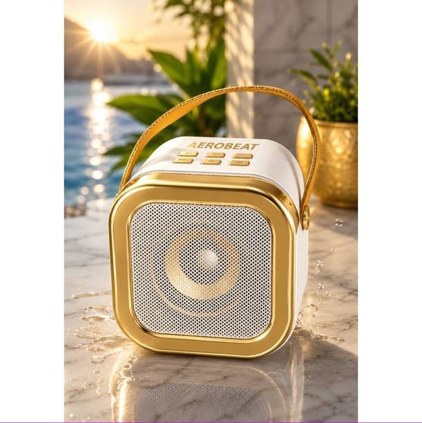 AEROBEAT SP666 5 W Bluetooth Party Speaker