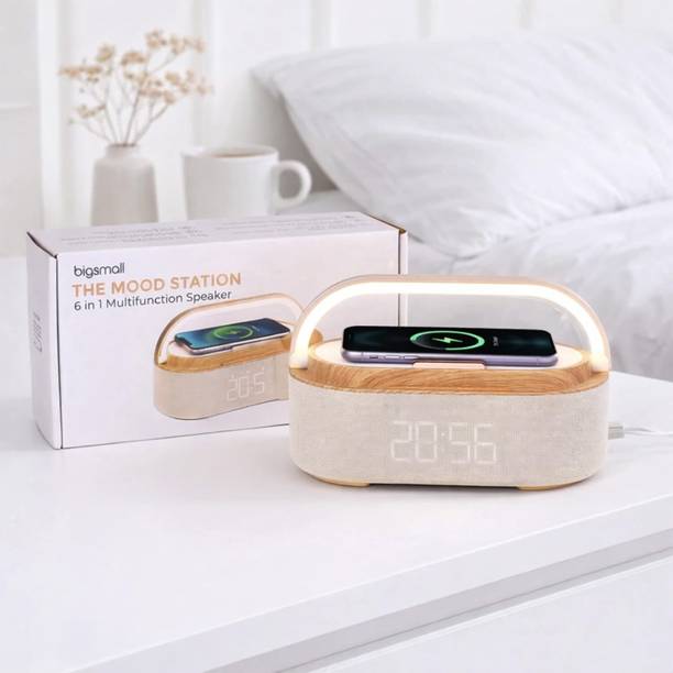 Bigsmall with Google Assistant Smart Speaker