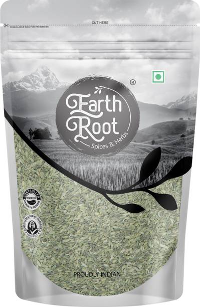 EARTHROOT Fennel Seeds | Saunf | Variyali | Whole | Pack of 1 Regular